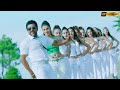 Wi Wi Wi Wifi Tamil 4K Video Song Singam 3 Suriya Shruti Haasan