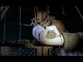 Chicken Run 2000 Beginning Scene