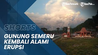 Gunung Semeru Kembali Alami Erupsi hingga, Tampak Asap Setinggi Lebih dari Sekitar 400 Meter