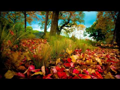 elpirri - Smoking Changa (Ambient / Psydrone / Psychill Mix)