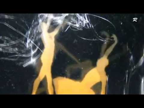 David Arkenstone - Song of Sheherezade