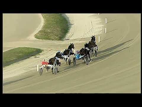 Napoli Trotto 04/02/2022 - prova di qualifica