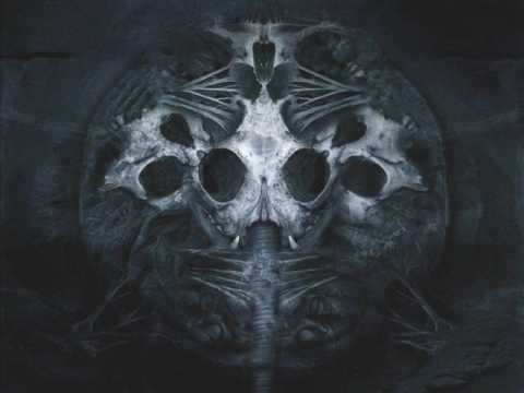 Splatter Squall · Transcendence