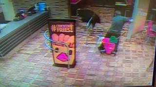 faze tari curatenie in restaurant