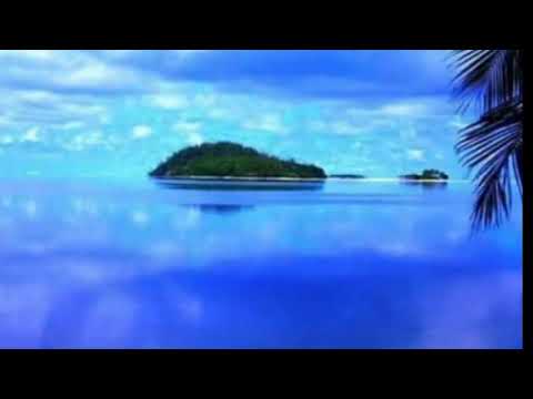 REAL WIFEY - SIREN REMIX [ Dj BacC Rmx ] 2018