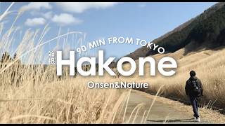 Hakone Onsen on a Budget – Japan’s Famous Hot Springs 90 Minutes from Tokyo