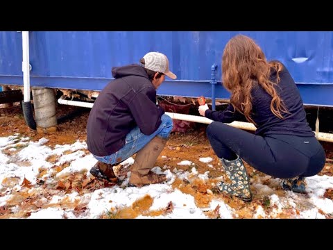 Insulating BEFORE The SNOW |SHIPPING CONTAINER HOUSE|EP:80| Cold Floors & Crawlspace UPGRADES