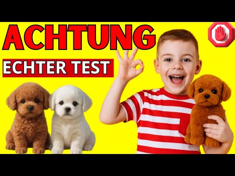 ???? Wuffy Roboter-Welpe Erfahrungen ???? – Ehrlicher Test: Lohnt sich dieser Roboterhund wirklich?