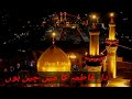 New WhatsApp Status Shan E Hussain