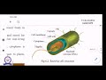 8th Botany Unit 6 Microorganism