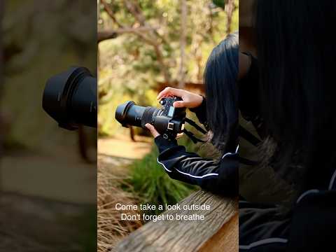 Life will begin again