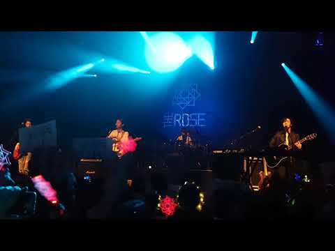 181118 The Rose - She's in the rain (2nd coloring Paint it Rose Europe Tour Berlin) fancam