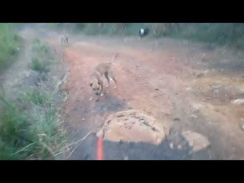 Donaton Fundación Doña Carmenza en Golondrinas