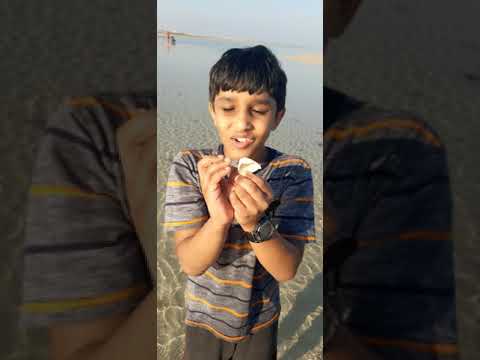 Awesome Qatar beach Enjoyed with my Kids