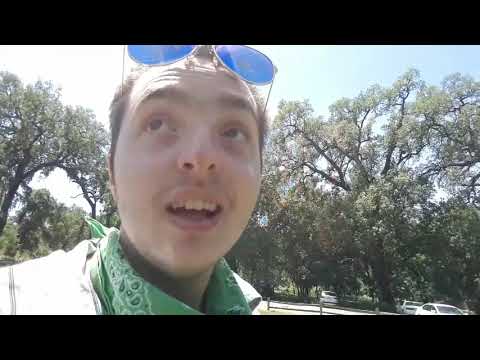 Steve Aoki's Neon Future IV - Vlog #267 (May 7th, 2020) (Fries101Reviews)