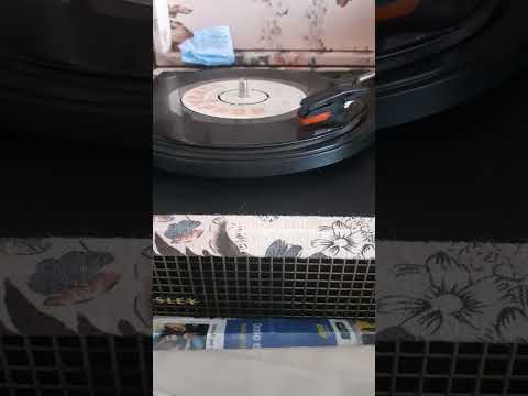 Milan Chladil - Volání divokých husí