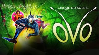 Cirque du Soleil =Brisa do Mar by Ney Silva guitar