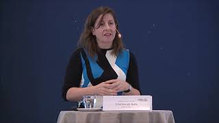 By Deputy Head of Unit DG Environment Cristina de Avila European commi