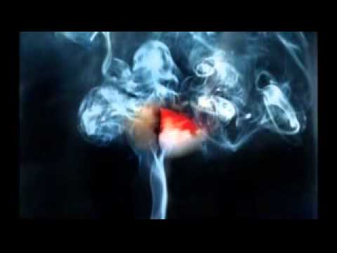 ZKUAD ZAFRA - ASI ES