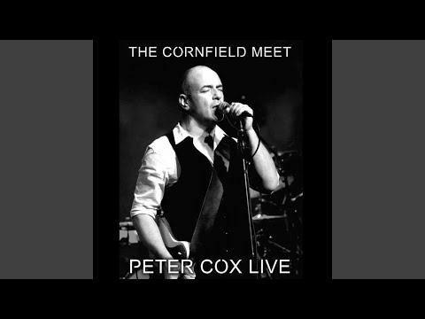 Who Did You Think I Was?