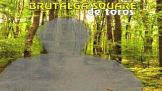 CROniNO - Brutalga Square De Toros (Krone Records)