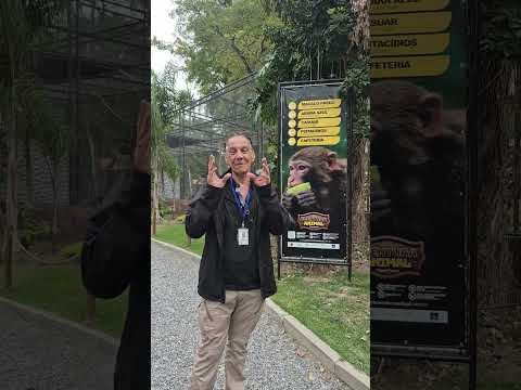 Visitando o Parque Aventura Animal 🦜🐾 #dicasdeviagem #shorts