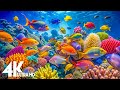 Aquarium 4k VIDEO ULTRA HD Captivating Moments With Beautiful Coral Reef Fish Relaxing Music