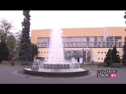 Suzanin izbor S01E28 - Iz Švedske u Vrnjačku Banju