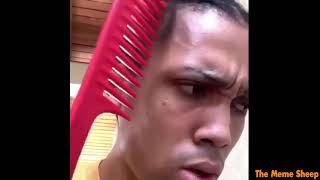 Dog brushing guys hair meme (full)