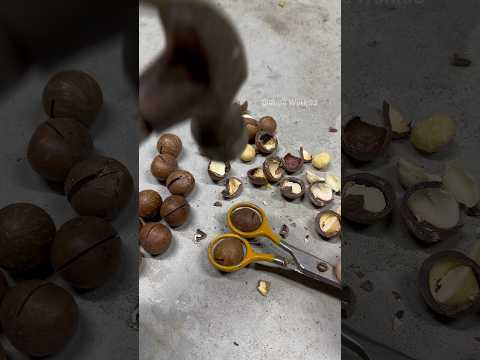 😲 The Smartest Way to Crack Nuts