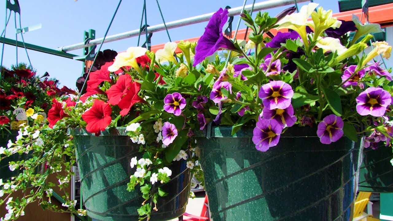 Business Around Town 05-12-2019