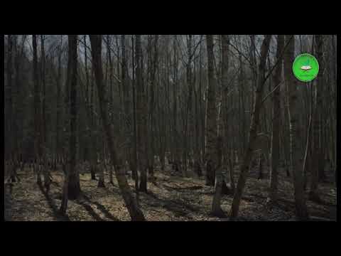 02 - Meditime Kuranore