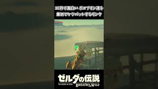 10秒で面白い ボコブリン達をケツバットするリンクｗｗ【ゼルダの伝説 ブレス オブ ザ ワイルド】
