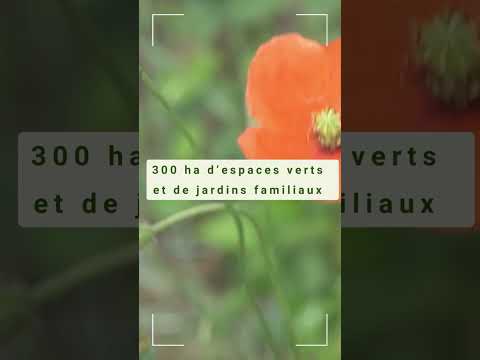 Les coulisses du fleurissement de la Ville de Tournefeuille