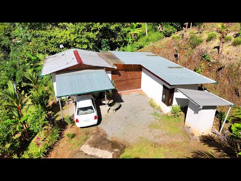 img-video