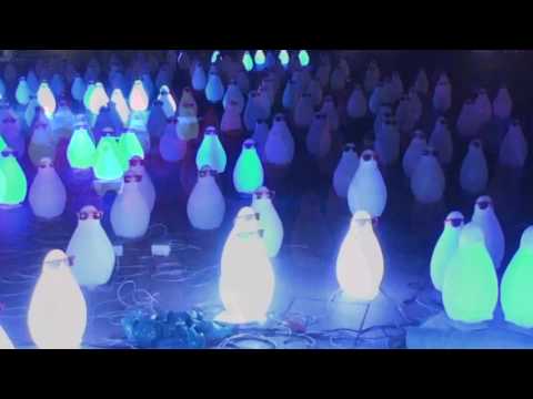 Pinguine auf dem Altmarkt in Cottbus