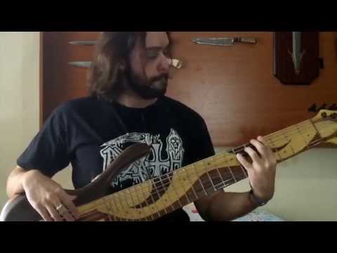 Death - Nothing is everything Bass Cover by Laurobas