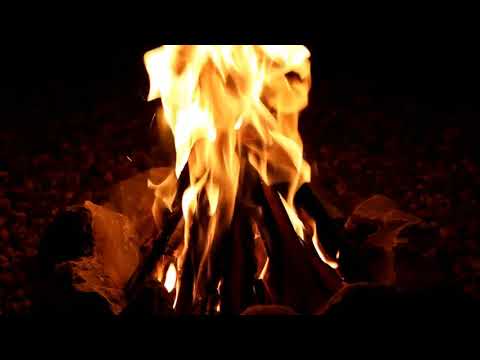 Deutsche Geschichte   Stürmischer Beginn