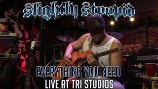 Everything You Need - Slightly Stoopid (Live at Roberto's TRI Studios)