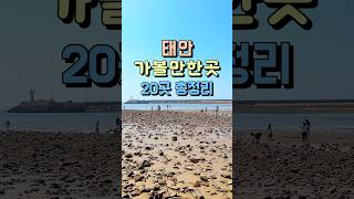 태안 가볼만한곳 여행 코스 20곳 총정리 🦀