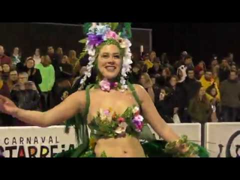 Tribal @Desfile Escolas de Samba - Carnaval de Estarreja 2020