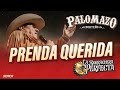 Palomazo Norteño / Rosendo Cantú : Prenda Querida ( Video Oficial )