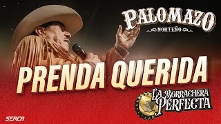 Rosendo Cantú / Palomazo Norteño : Prenda Querida ( Video Oficial )