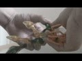 Beast Wars Fuzors Quickstrike Review