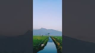 Download lagu Story wa Adista - Perasaanku mp3