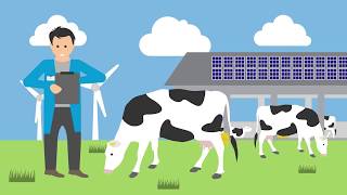 Download lagu How is Dutch dairy checked? | Sustainable Dairy Chain mp3