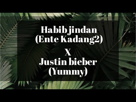 Habib jindan (Ente Kadang2) X JB (Yummy) - Viral Tiktok