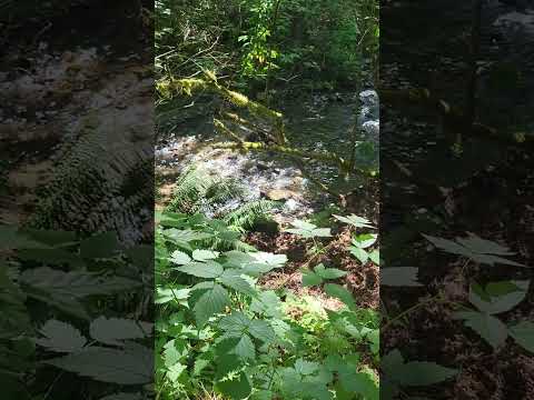 I love this sound