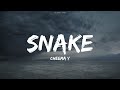 SNAKE CHEEMA Y Lyrics Video Song Gur Sidhu Music New Punjabi Song 2024