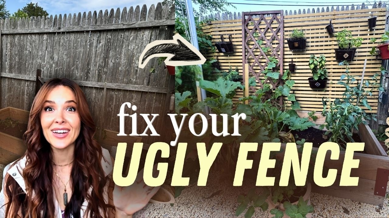 I Covered My Ugly Fence with a Slat Wall and Herb Garden  🪴